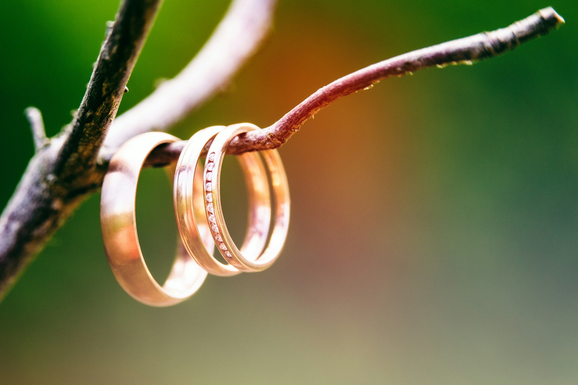 Gold wedding bands dangle on a thin, bare tree branch against a blurred green background, representing common mistakes in BC separations.