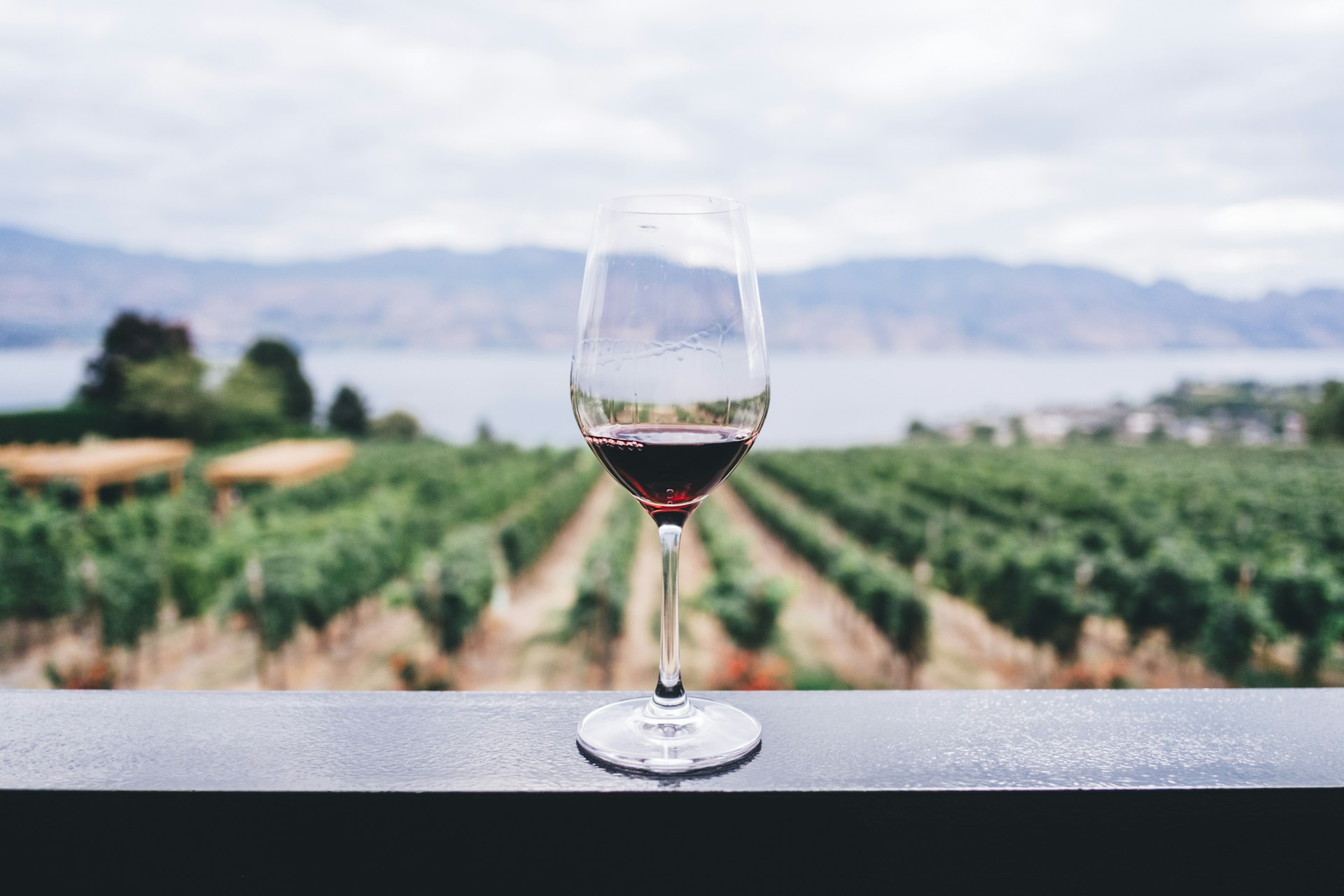 View looking out on a BC winery vineyard with a glass of red wine in the foreground, representing business and legal considerations for BC wineries, cideries, and farm-gate businesses.