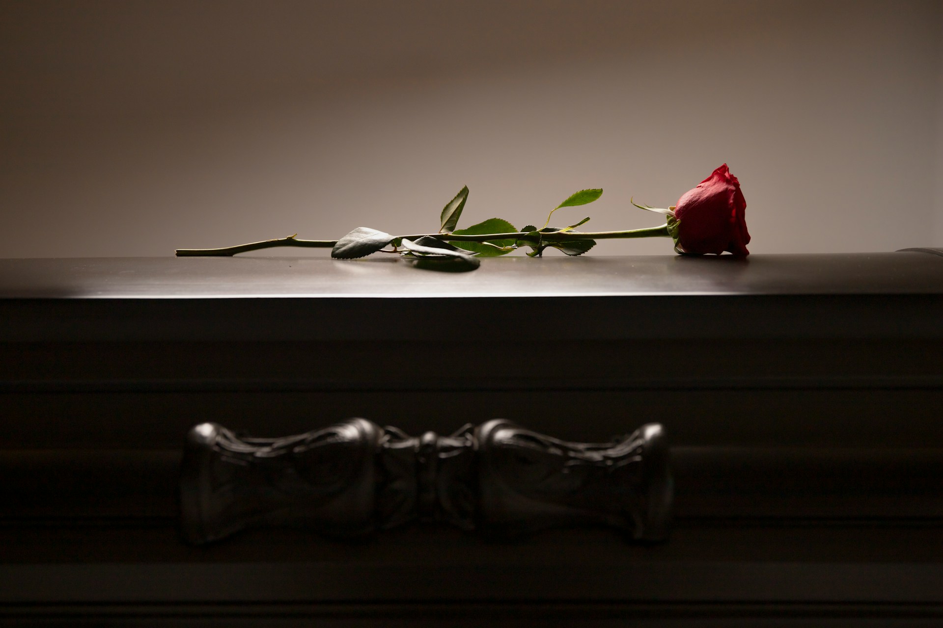 A single rose rests atop a wooden casket with an ornate silver handle on the side, representing draft wills after death.